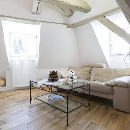 Les Appartements Saint Nicolas Colmar Exterior photo
